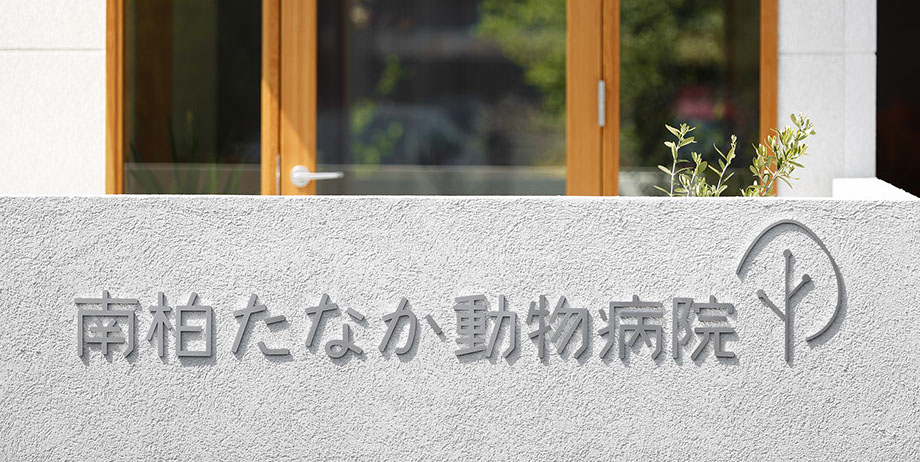 南柏たなか動物病院 イメージ 南柏たなか動物病院